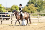 SBM_001425
