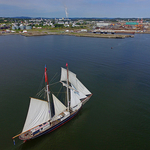 Wylde Swan Tall Ships Rendezvous 2017 Saint John New Brunswick Canada