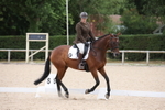 Class 15 - Novice 5 portfolio