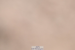 240622A-110015-08415