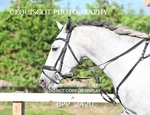 BPP_2420