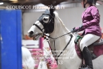 CLASS 3 Pony British Novice / 0.80m Open portfolio
