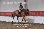 BPP_1256