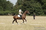 _PJP5686