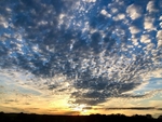 Mottled Sky