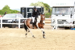 SBM_008157