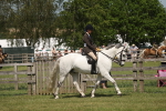 SBM_07582