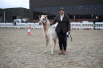 SBM_004587