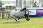 SBM_00624