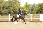 SBM_002652