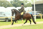 SBM_72008