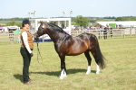 SBM_09098