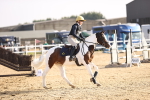 SBM_003599