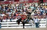 3HRodeo7-19-25_CFD_03953_
