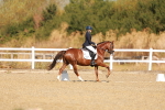SBM_016804