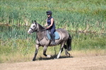 WJ7_8127