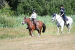 WJ7_3610