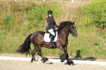 3E7A4198
