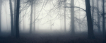 Veiled