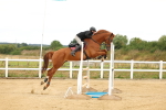 SBM_009917