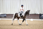 SBM_001936