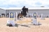 BPP_5829