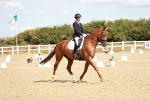 SBM_009362