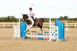 SBM_002494