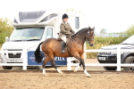 SBM_00265