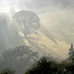Early morning sun
