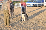 SBM_09648