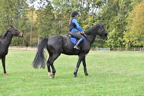 WJ5_9858