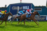 230526-Race 7-Golden Strike-7994