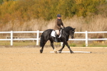 SBM_010480