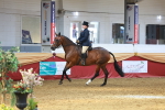 SBM_20192