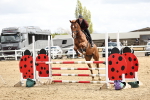 SBM_000935