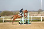 SBM_000181
