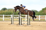 SBM_004433