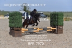 BPP_7970