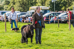 Loweswater Show-21