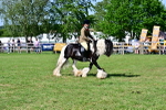 SBM_09372