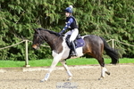 BRC Arena Eventing Qualifier portfolio