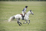 BVHT 140517  NXC -492
