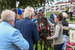 Race 7 5.20pm British EBF Fillies' Handicap portfolio
