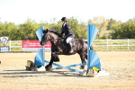 SBM_000179