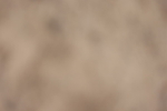 20260705-0154
