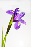 20140202-3K8A8647