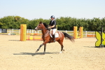 SBM_000156