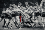 Guernsey Raiders v Bury St Edmonds-50