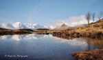 Reflected In Winter Light
